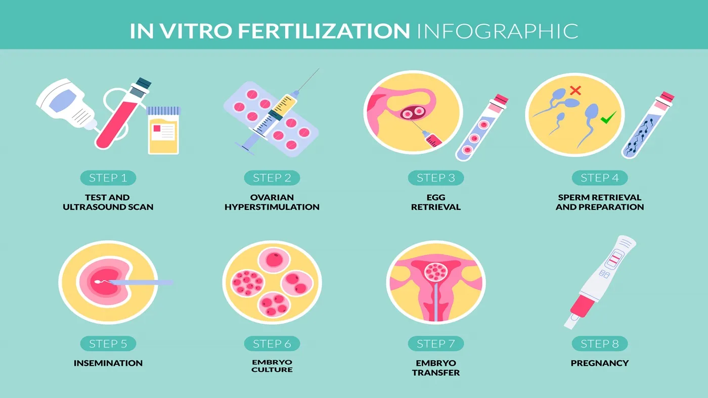 which-one-is-right-for-you-iui-or-ivfs