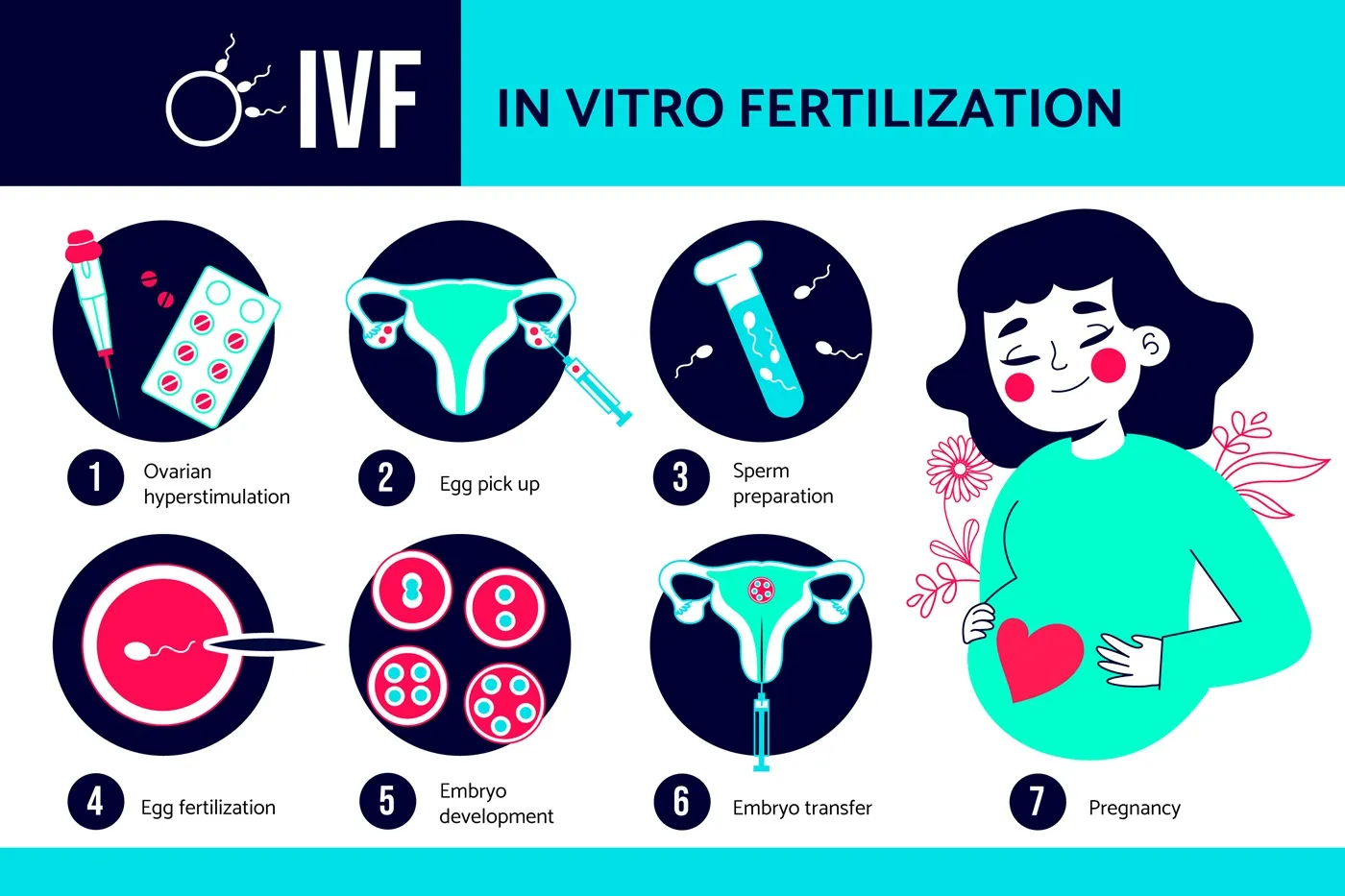 what-to-expect-during-an-ivf-cycle-understanding-the-ivf-journey